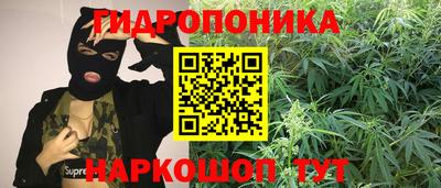 дурь Заводоуковск