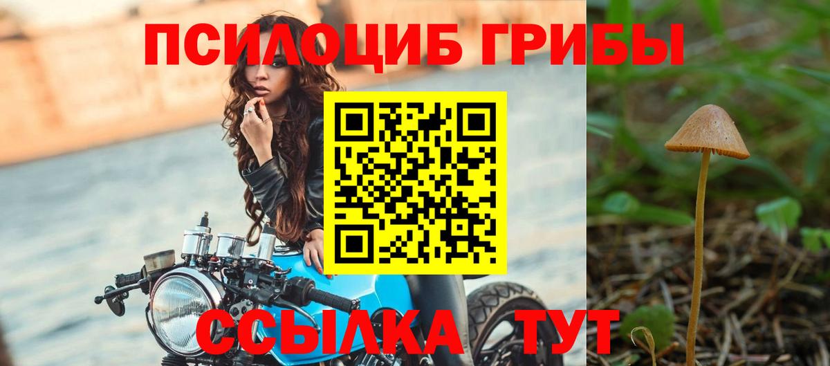 сколько стоит  Псилоцибиновые грибы мицелий  Вход с VPN  Щёлково 